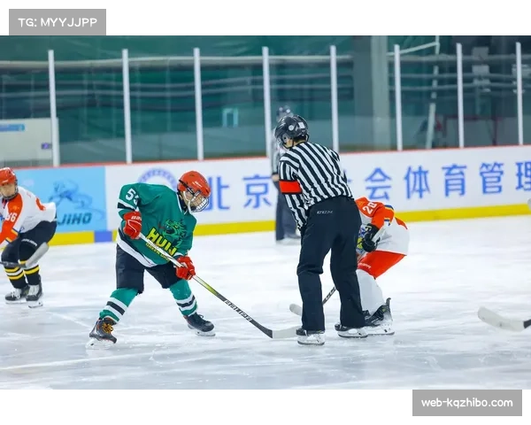 通讯：一座工业城市的冰球记忆，见证德国冰球联赛老牌球队降级